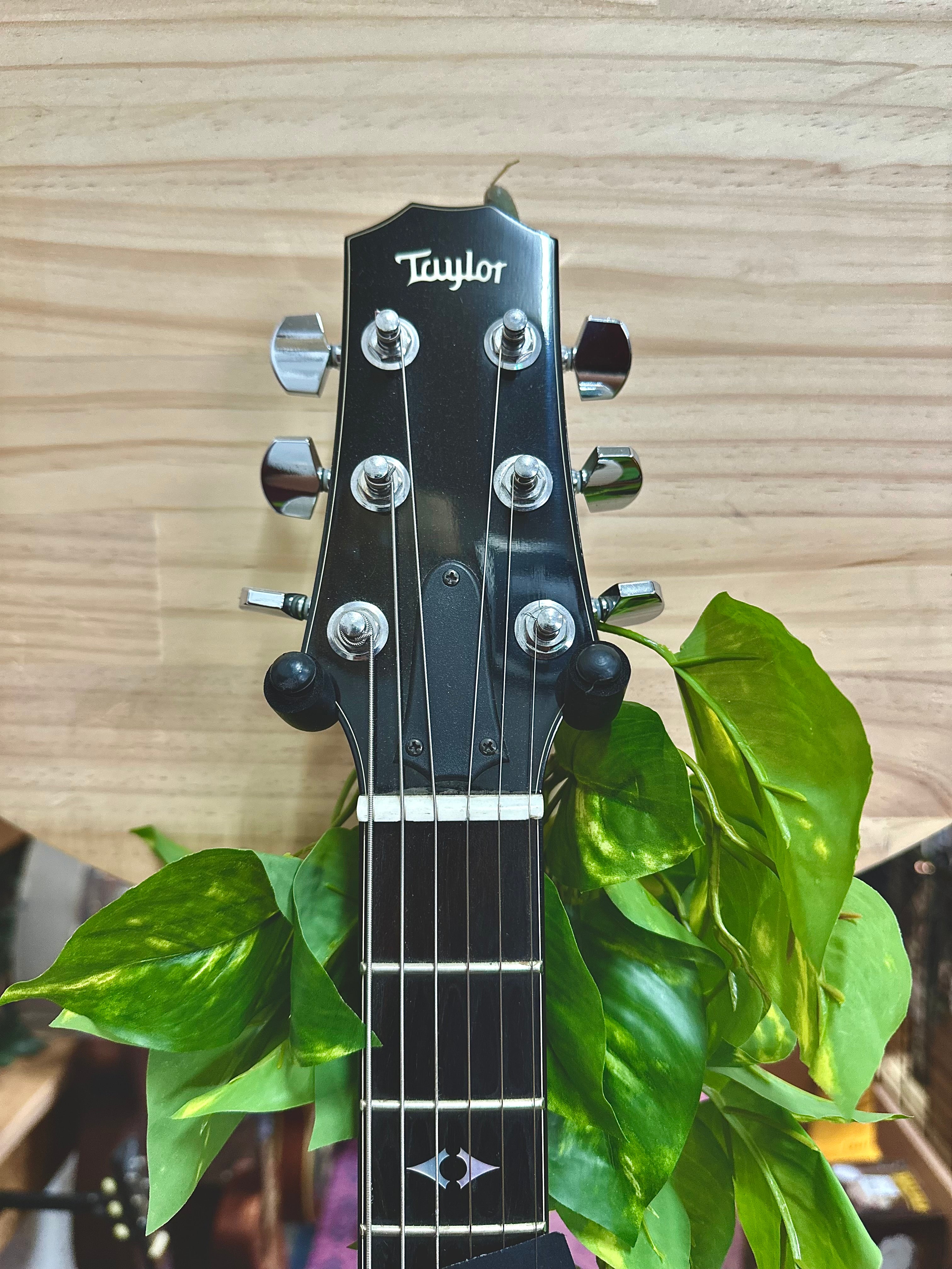 Taylor | Solidbody Electric Custom | Walnut Top | USA | Pre-Loved Taylor | Solidbody Electric Custom | Walnut Top | USA | Pre-Loved